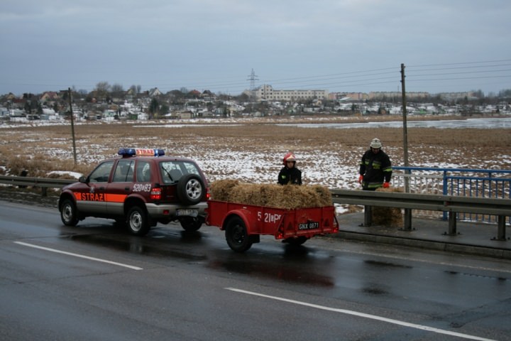 Struga Kochanka