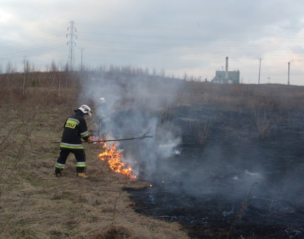 Trawy 2010