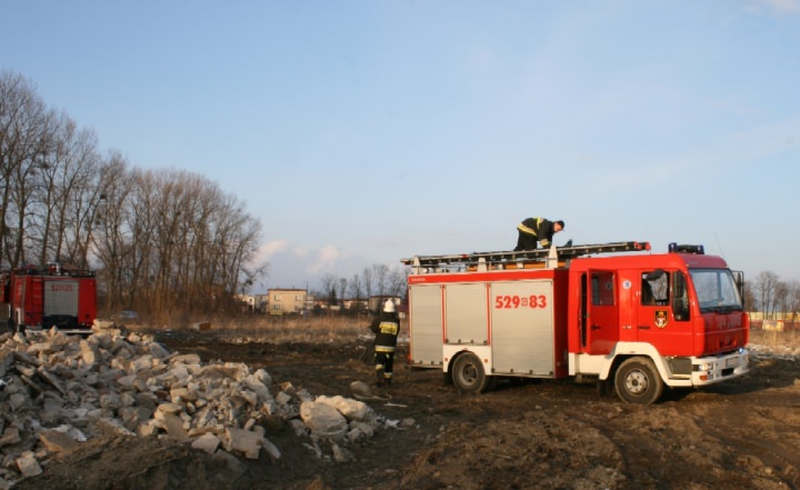 Trawy 2011