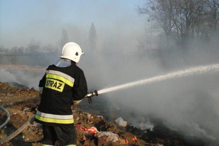 Trawy 2012
