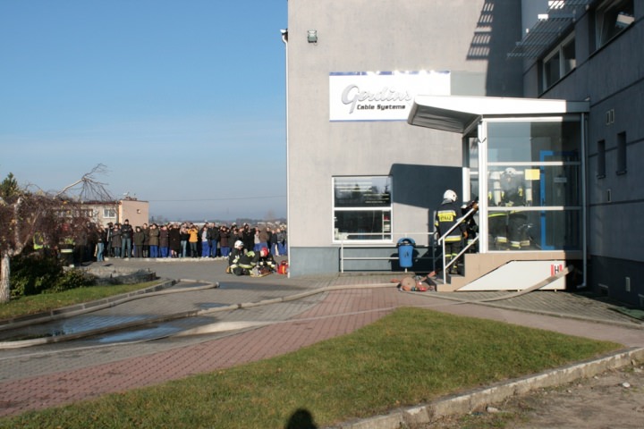 Gerdins