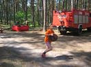 Skrzynia 2005