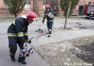 Kocborowo 2011