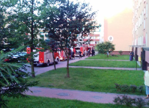 5 zastępów na miejscu