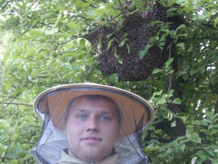 Rój pszczół był na prawdę spory....