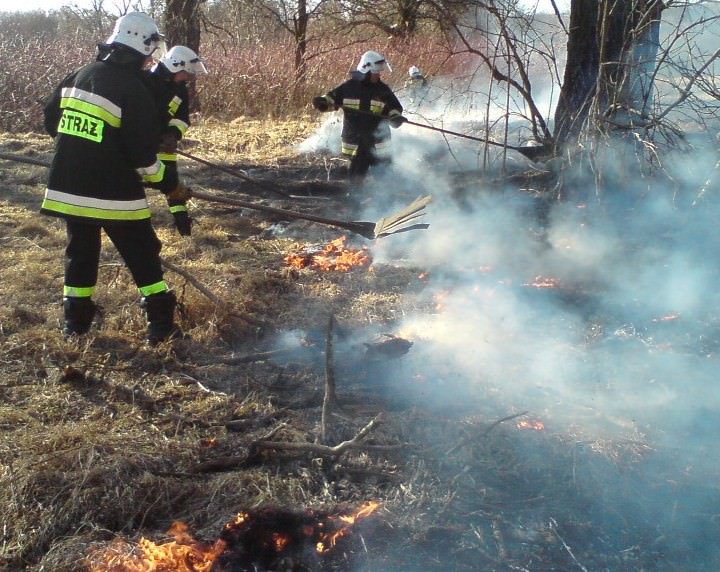 alt src=https://www.ospstarogard.com.pl/images/stories/rok2011/trawaskarszewska/dsc00213.jpg